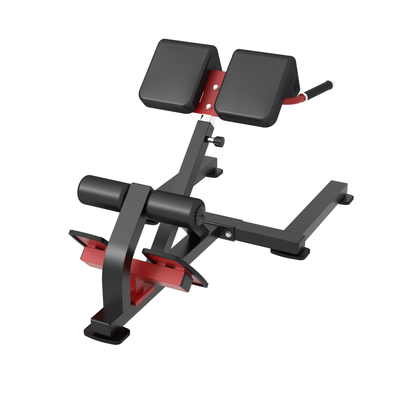 XPRT Fitness