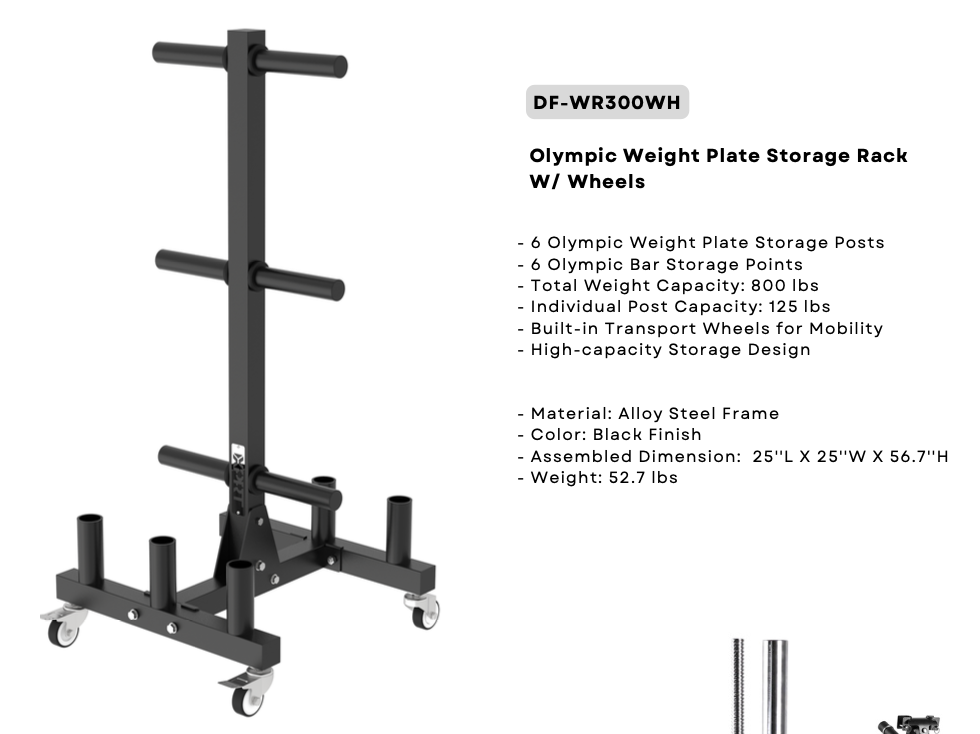 XPRT Fitness Olympic Weight Plate Rack with Wheels – 800 lbs Capacity - XPRT Fitness